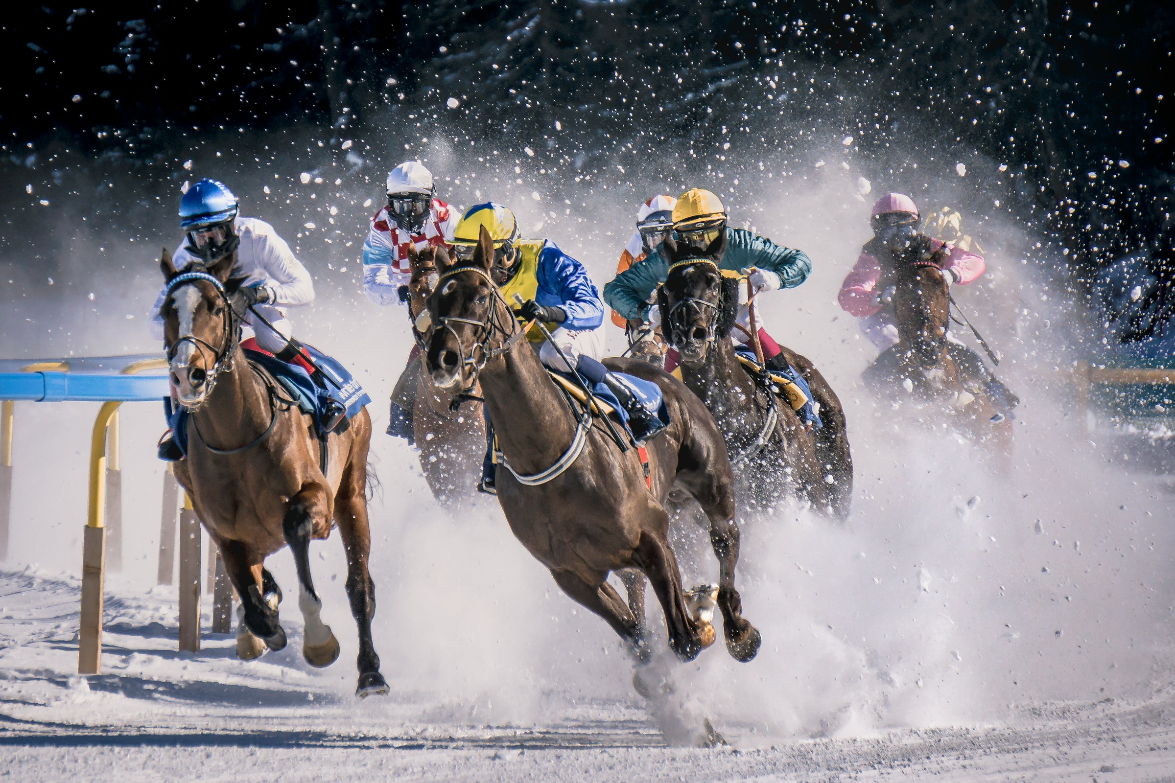 The World of Horse Racing: From Legends to Live Action
